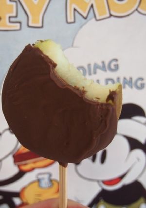 そのまんまキウイのチョコアイスバー-レシピのメイン写真