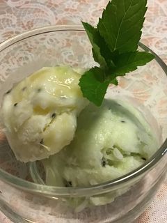 ゼスプリキウイのヨーグルトジェラート-レシピのメイン写真
