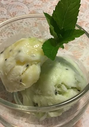 ゼスプリキウイのヨーグルトジェラート-レシピのメイン写真