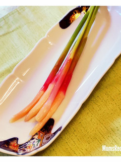 初夏 葉しょうがの甘酢漬け-レシピのメイン写真