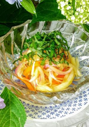 　　　玉ねぎのカレー酢漬け②-レシピのメイン写真