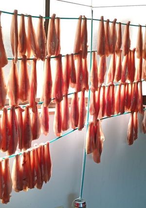 どこまで乾かす？ ホッケのみりん干し-レシピのメイン写真
