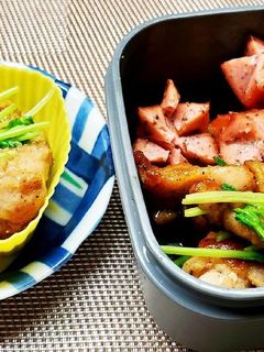 鶏と豆苗のカレー炒め(お弁当用)-レシピのメイン写真