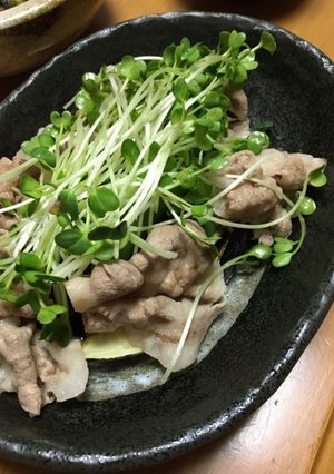 クセになる!揚げ茄子とゆで豚☆ポン酢味-レシピのメイン写真