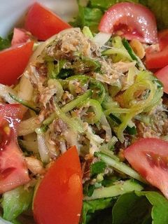 サバ缶と香味野菜でサラダうどん-レシピのメイン写真