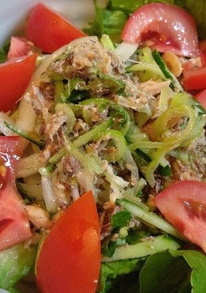 サバ缶と香味野菜でサラダうどん-レシピのメイン写真
