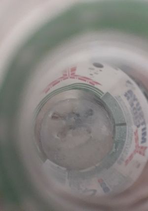 炭酸飲料のちょいとフローズン-レシピのメイン写真