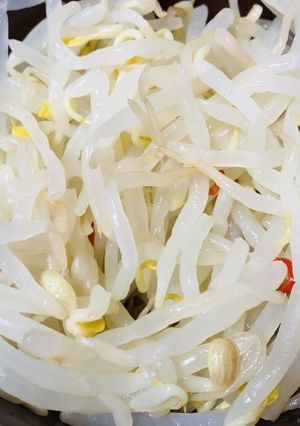 もやしの漬物-レシピのメイン写真