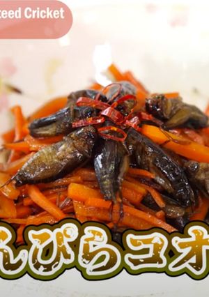 【昆虫食】きんぴらコオロギ-レシピのメイン写真