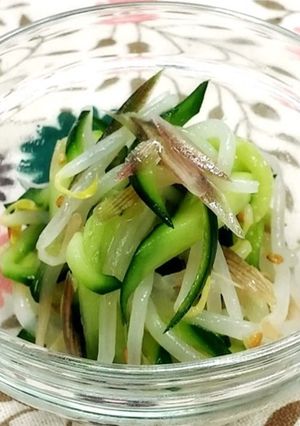 きゅうりともやしのナムル-レシピのメイン写真