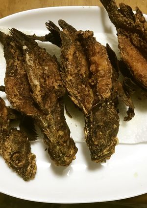 骨までバリバリ食べるメバル唐揚げ-レシピのメイン写真