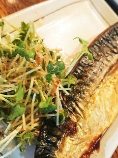 おかか☆かいわれ-レシピのメイン写真