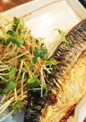 おかか☆かいわれ-レシピのメイン写真