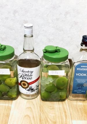 色々なお酒で！梅酒-レシピのメイン写真