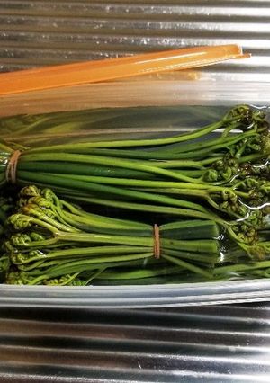 ワラビの灰汁抜き！-レシピのメイン写真