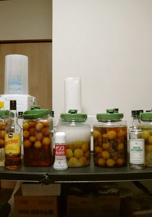 梅酒いろいろ～～～-レシピのメイン写真