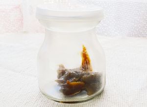 少量からてづくり☆自家製梅エキス(？)-レシピのメイン写真