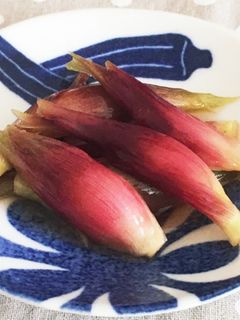 ミョウガの甘酢漬け-レシピのメイン写真