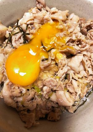 すた丼-レシピのメイン写真
