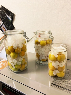 スッキリ梅ジュース-レシピのメイン写真