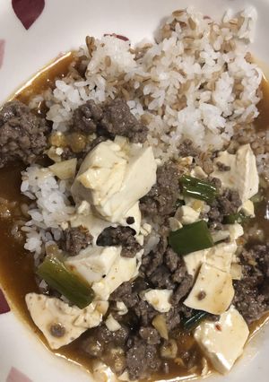 本格的な麻婆豆腐　中華　２０２０-レシピのメイン写真