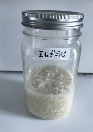 簡単!!発酵うまみ調味料!玉ねぎ麹-レシピのメイン写真