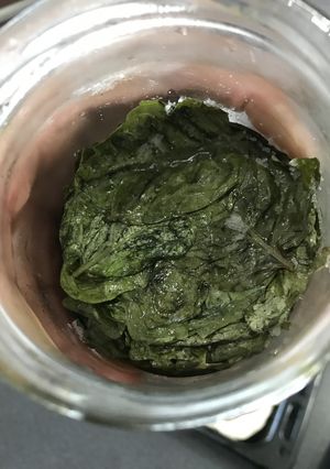バジルの塩漬け-レシピのメイン写真