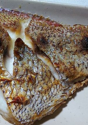 天然鯛の塩焼き-レシピのメイン写真