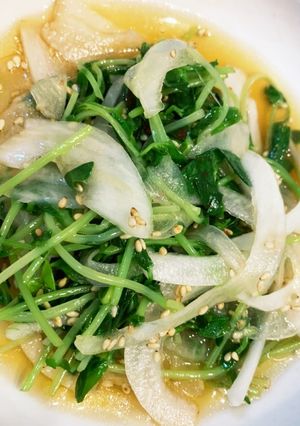 簡単副菜♪豆苗と新玉ねぎのナムル-レシピのメイン写真