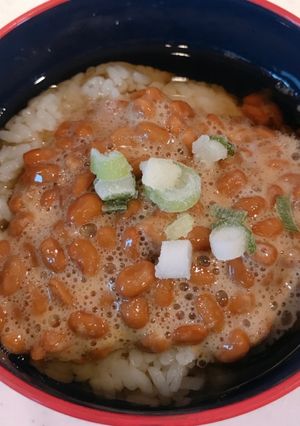 栄養満点、サッパリと旨い！納豆麦茶漬け-レシピのメイン写真