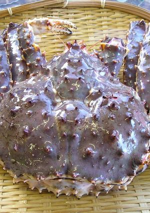 タラバ蟹のさばき方(下準備編)-レシピのメイン写真