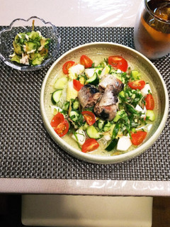 野菜たっぷり冷し汁そうめん-レシピのメイン写真