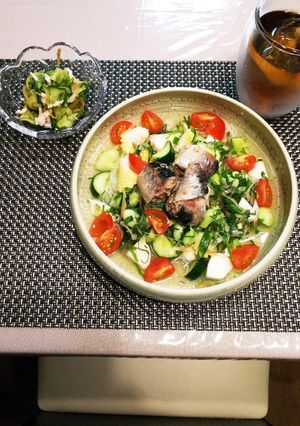 野菜たっぷり冷し汁そうめん-レシピのメイン写真