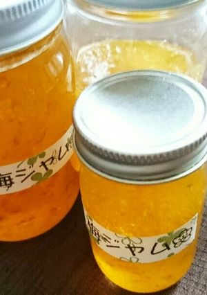 梅ジャム-レシピのメイン写真