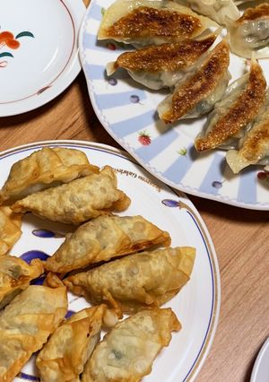 手作り・揚げ餃子と焼き餃子-レシピのメイン写真