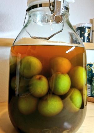 黒糖焼酎梅酒-レシピのメイン写真