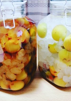 梅酒in2020-レシピのメイン写真