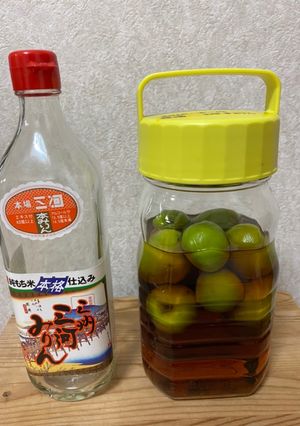 梅酒の覚え書き-レシピのメイン写真