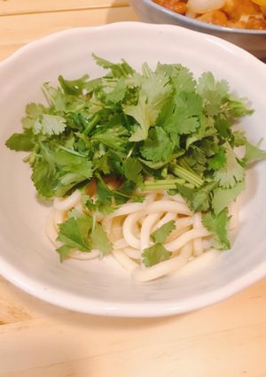 パクチー焼うどん-レシピのメイン写真