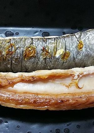 鰹のハラスの塩焼き-レシピのメイン写真