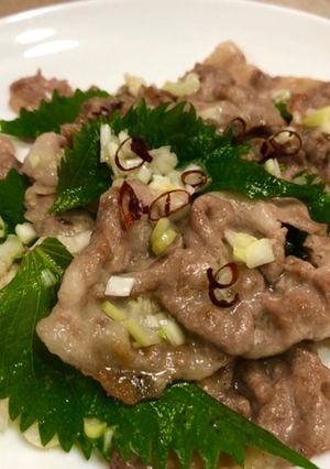 ☆豚肉のたっぷりねぎ塩ソース♪-レシピのメイン写真