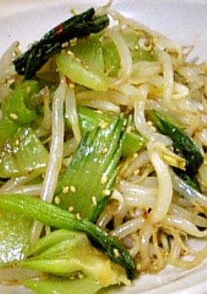 もやしと青梗菜のオイスターごま油☆-レシピのメイン写真