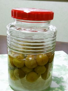 梅シロップ-レシピのメイン写真