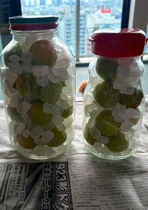 2026年　梅シロップ　1kg-レシピのメイン写真