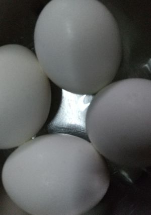コンビニの塩味付きゆで卵＆爆速茹で卵-レシピのメイン写真