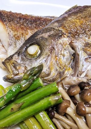 フライパン用ホイルで！イサキの塩焼き-レシピのメイン写真