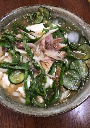★簡単★冷汁うどん-レシピのメイン写真