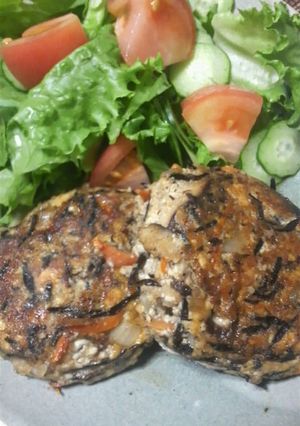 豆腐ハンバーグ－糖尿高血圧でもおいしく-レシピのメイン写真