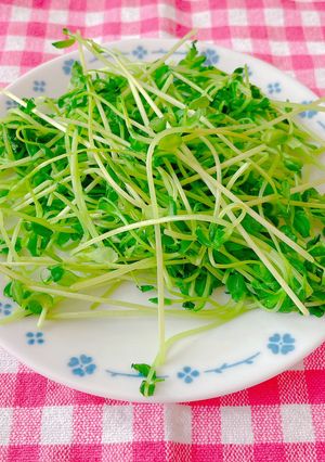 豆苗簡単炒め-レシピのメイン写真