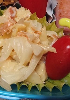 お弁当に！キャベツと玉ねぎのマヨ醤油和え-レシピのメイン写真